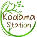 Kodama Station