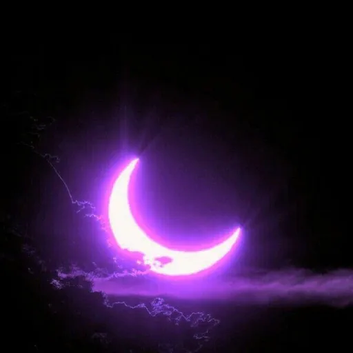 flaymoni🌙 — мониторинг Discord сервера, статистика и рейтинг