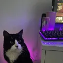 everlasting dota