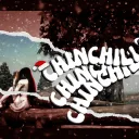 x CHINCHILLA x