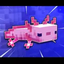 Hermitcrabs