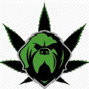 The Art of Warzone
