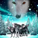 The Wolf Pack