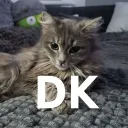 DK