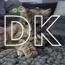 DK — Serveur Discord