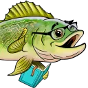 Database Internals