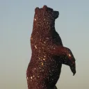 Bears Bears Bears