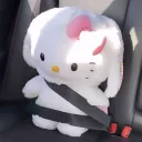 reinicord