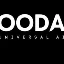 OODA AI