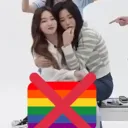 lgbt community (derogatory)