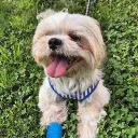PATATAS TEAM