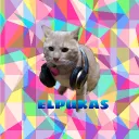 pukeros