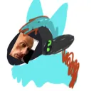 Protogen Enjoyers