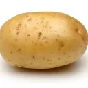 autistic potatoes