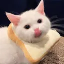 menyoo & mpyoo club