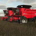 P.E Farms