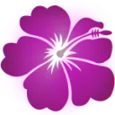 Beautésenherbe