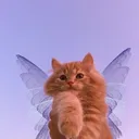 ⭑✭ THE WINXÉ CLUB ✭⭑