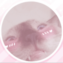 ♡・꒰🌸💭꒷₊ mochii's cat cafe ₊˚💭 ໒