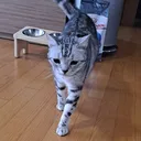 몰?루