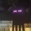 SkyblockZealots