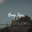 BangTiger | PHOTO