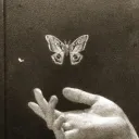 ✨⌇ яєѕριтє