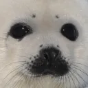 King SEALs