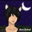 Bornhybrid's server