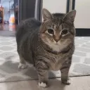 bestiesssssss<3's icon