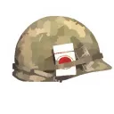 Vietnam at War
