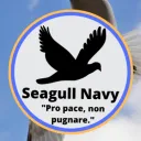 The Seagull Navy