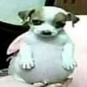 Casinha do Heki icon