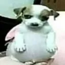 Casinha do Heki