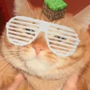 hola