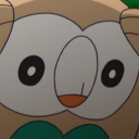 Your normal Pokemon Rp server Discord server icon