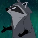 The Raccoon Community