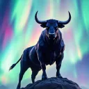 Aurora Trading
