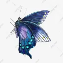 Butterfly Garden |18+SFW|