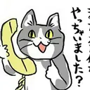 〜ねこの広場〜