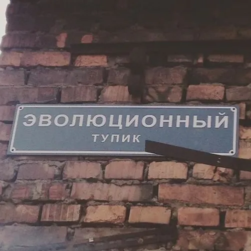 Experementus — мониторинг Discord сервера, статистика и рейтинг