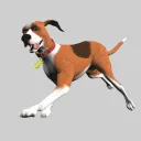 Dog's Life Community
