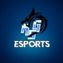 NSG ESPORTS Discord Server Icon