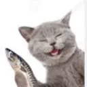 de cats that bite that fish's hed off