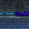 Elite_Team Gamer Server