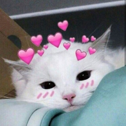 Ultra Cozy Zone - discord server icon