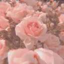  rosey ˖°  |   social ⋆ free t... Discord Server Icon