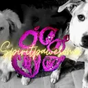 Pawesome