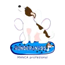 WonderAna95