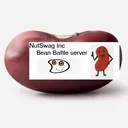 NutSwag Inc